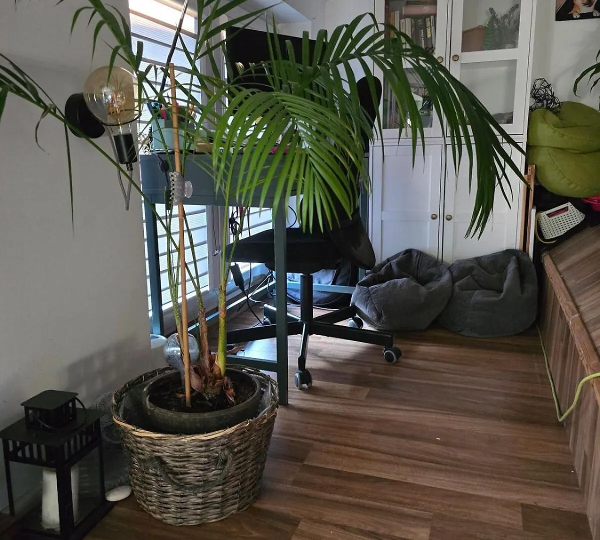 Cozyhome-Rekawka6 Krakow