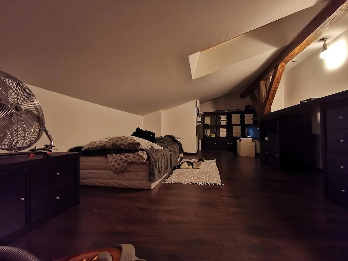 Cozyhome-Rekawka6 Krakow